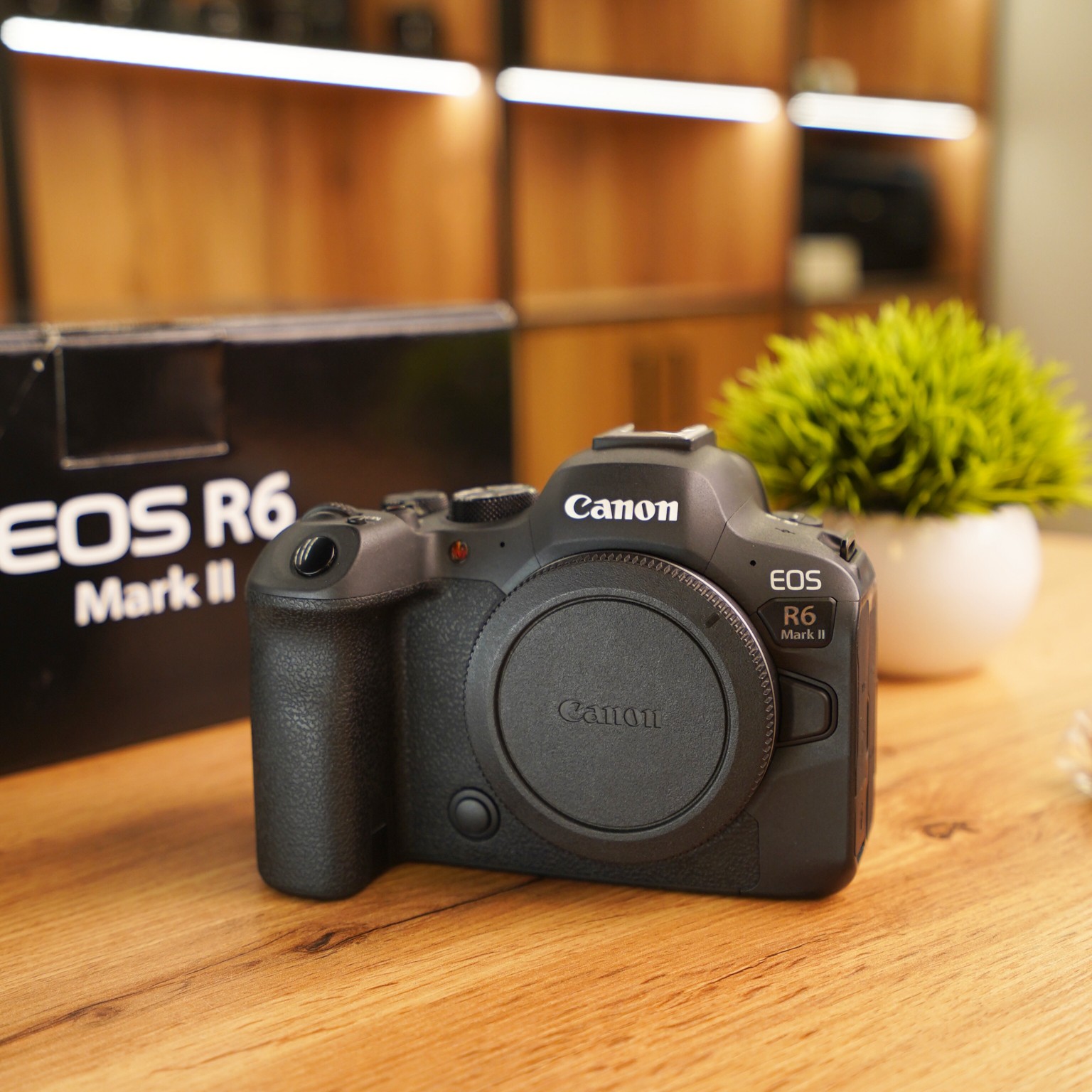 Canon R6 MK II