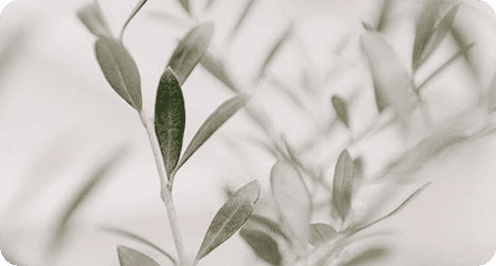 NEXT Gardens · Architecture and engineering 39