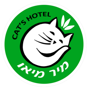 website icon