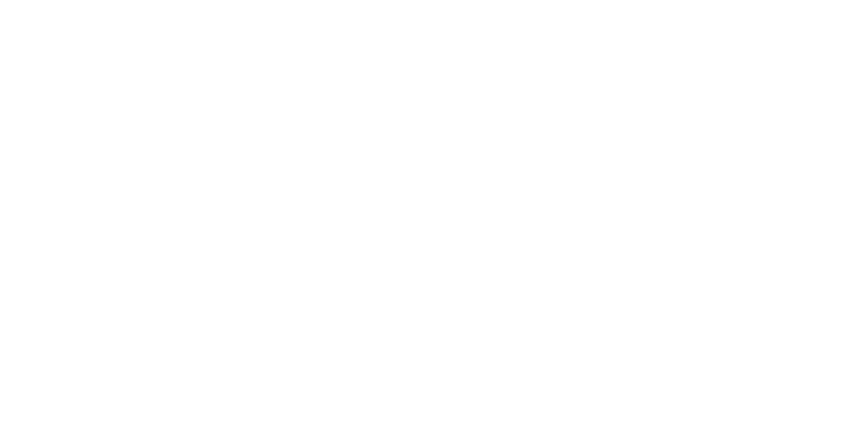 EFES Georgia