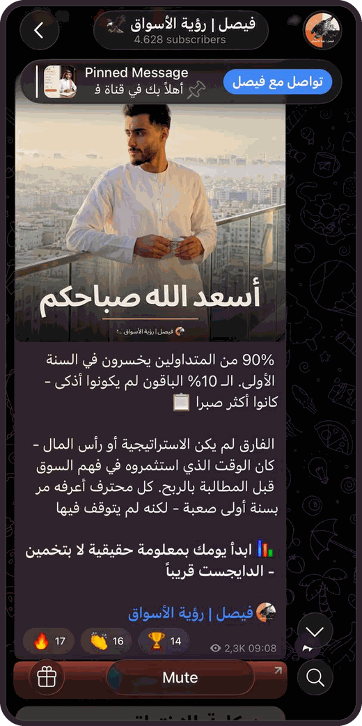 Screenshot of the Faisal | Market Vision Telegram channel