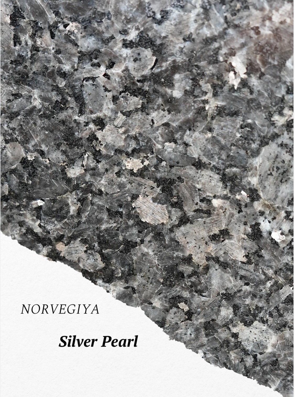 Norvegiyaning Silver Pearl labradoriti — kumushrang yirik kristalli tekstura