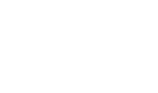 Bolt — logo partnera