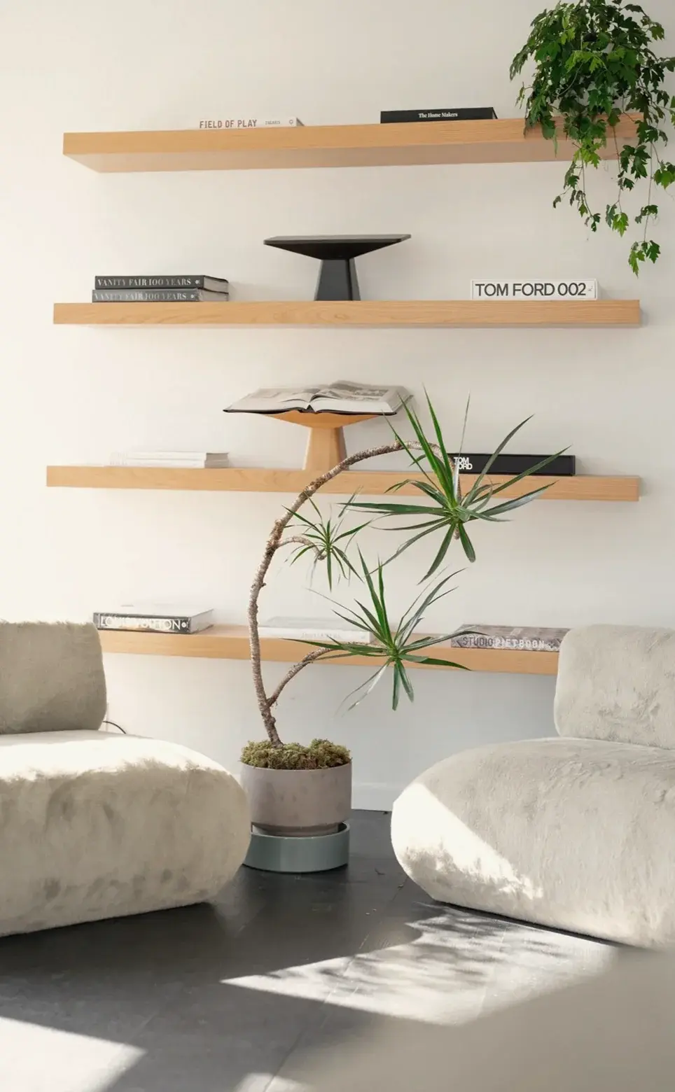 Floating shelves with trailing plants and a small tree in a design studio