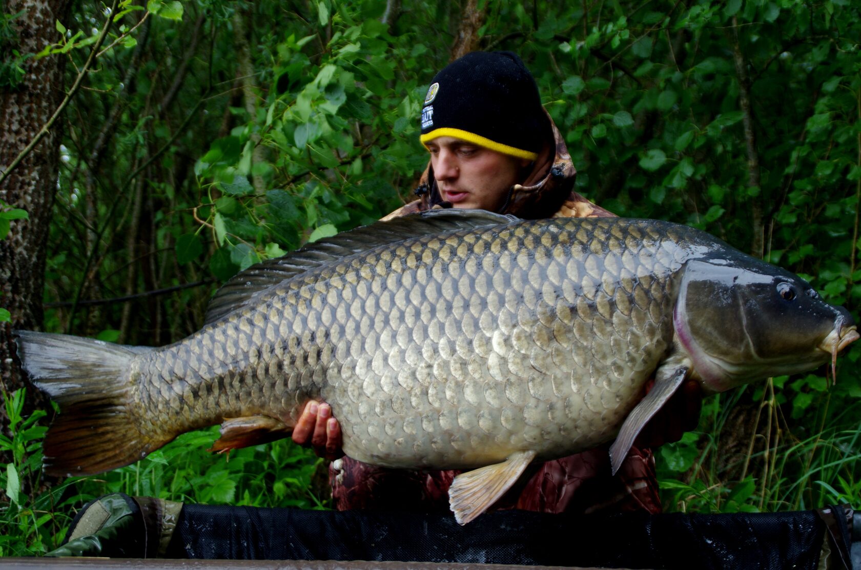 Capital carp caught by Dejan Sovic on Katran hooklinks