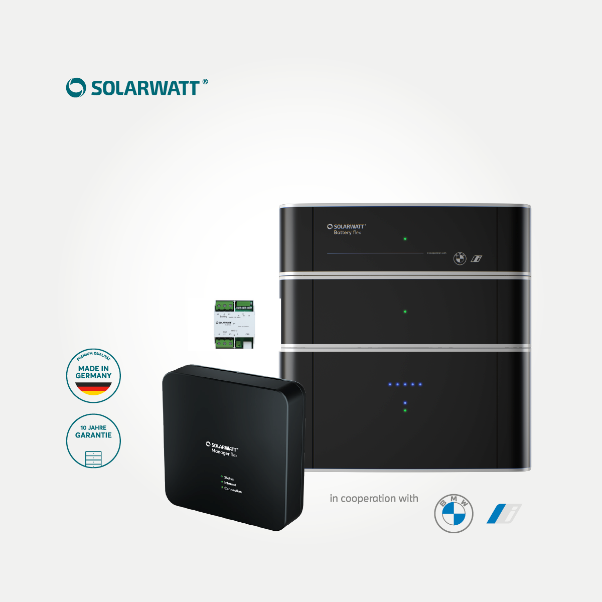 Solarwatt Manager &amp; Battery flex Paket