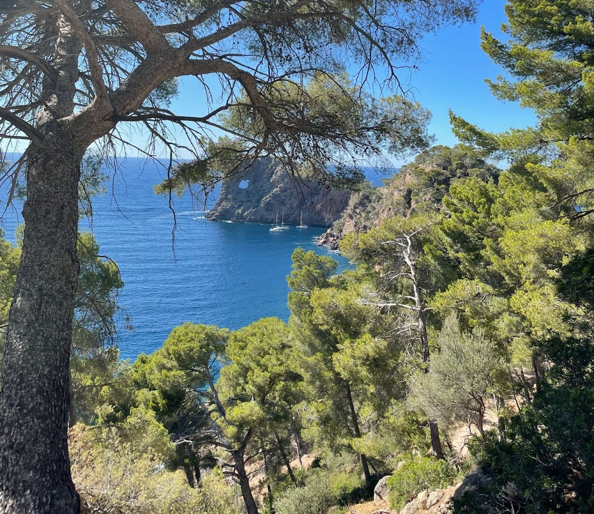 Road Quality Around The World Discovercars