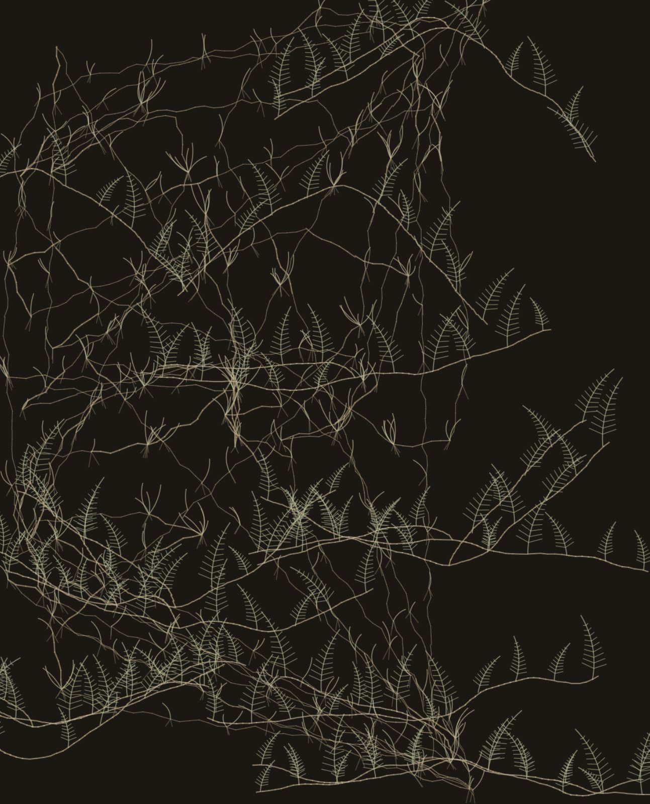 The field without a viewer: bracken and couch grass