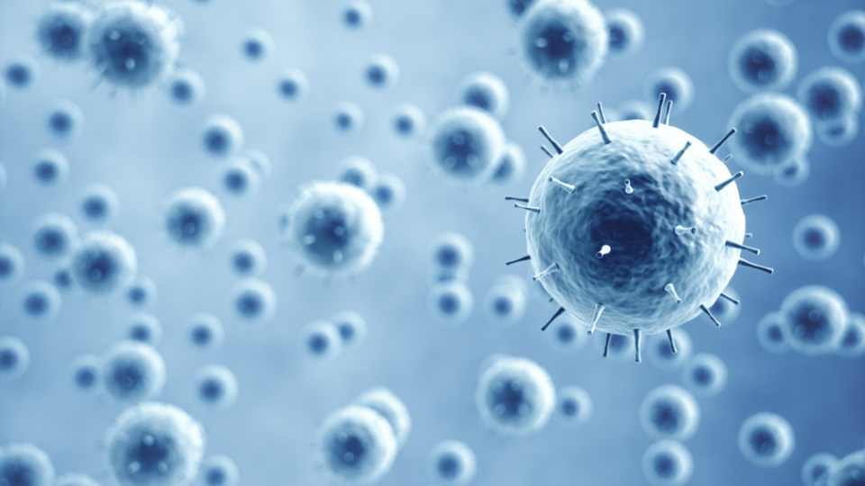 The image shows microscopic bacteria and viruses, highlighting the danger of microorganisms in drinking water and the importance of reverse osmosis filtration for protection