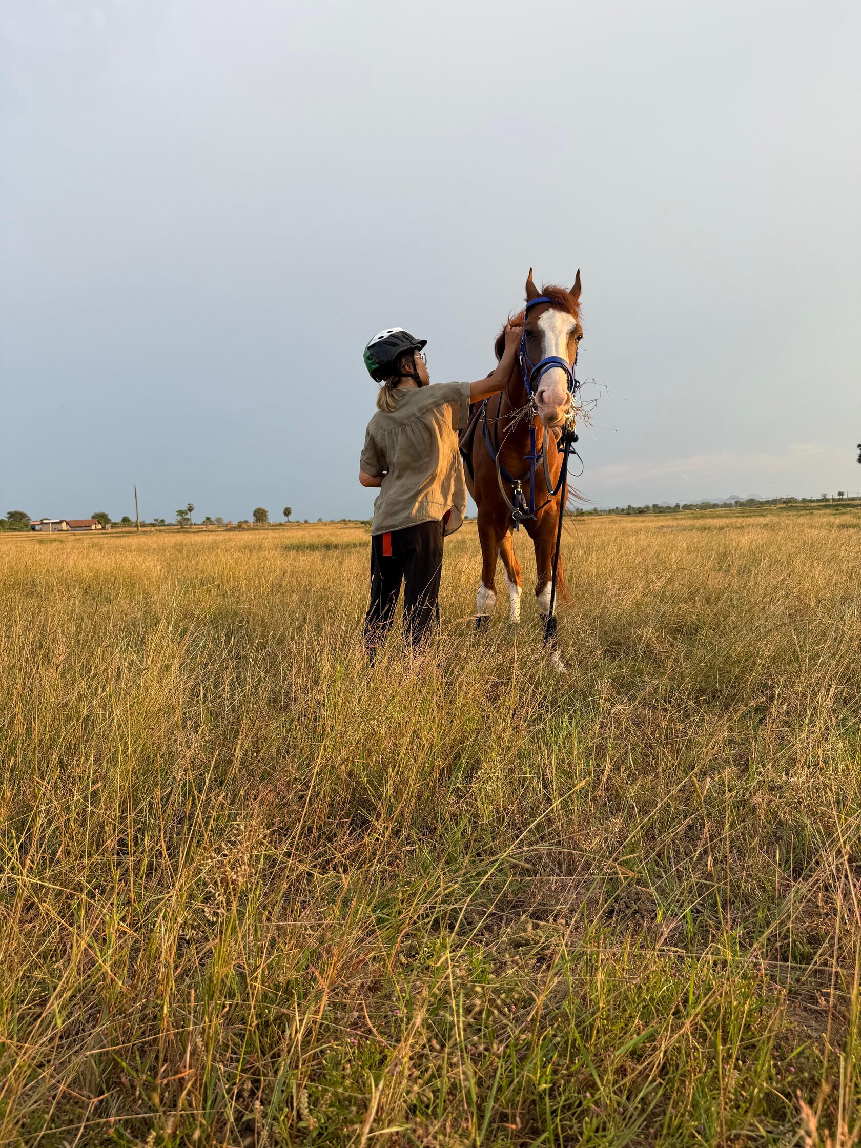 Horse standing in open grassland at Vonfidel Ranch while a rider adjusts its bridle in golden evening light.