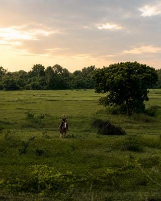 Rider and horse moving through open country at Vonfidel Ranch.