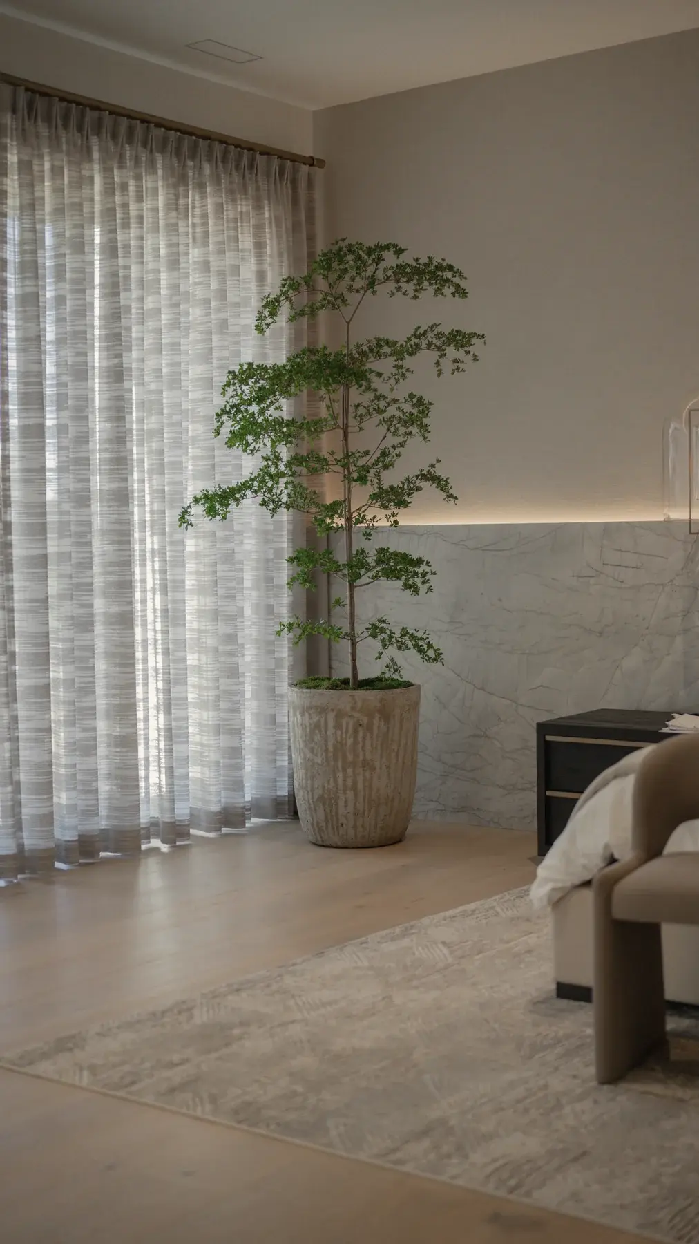 A slender tree in a bedroom corner