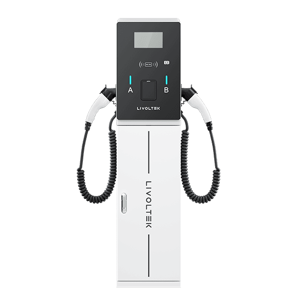 Borne de recharge Livoltek — vue alternative