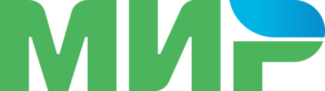 website icon
