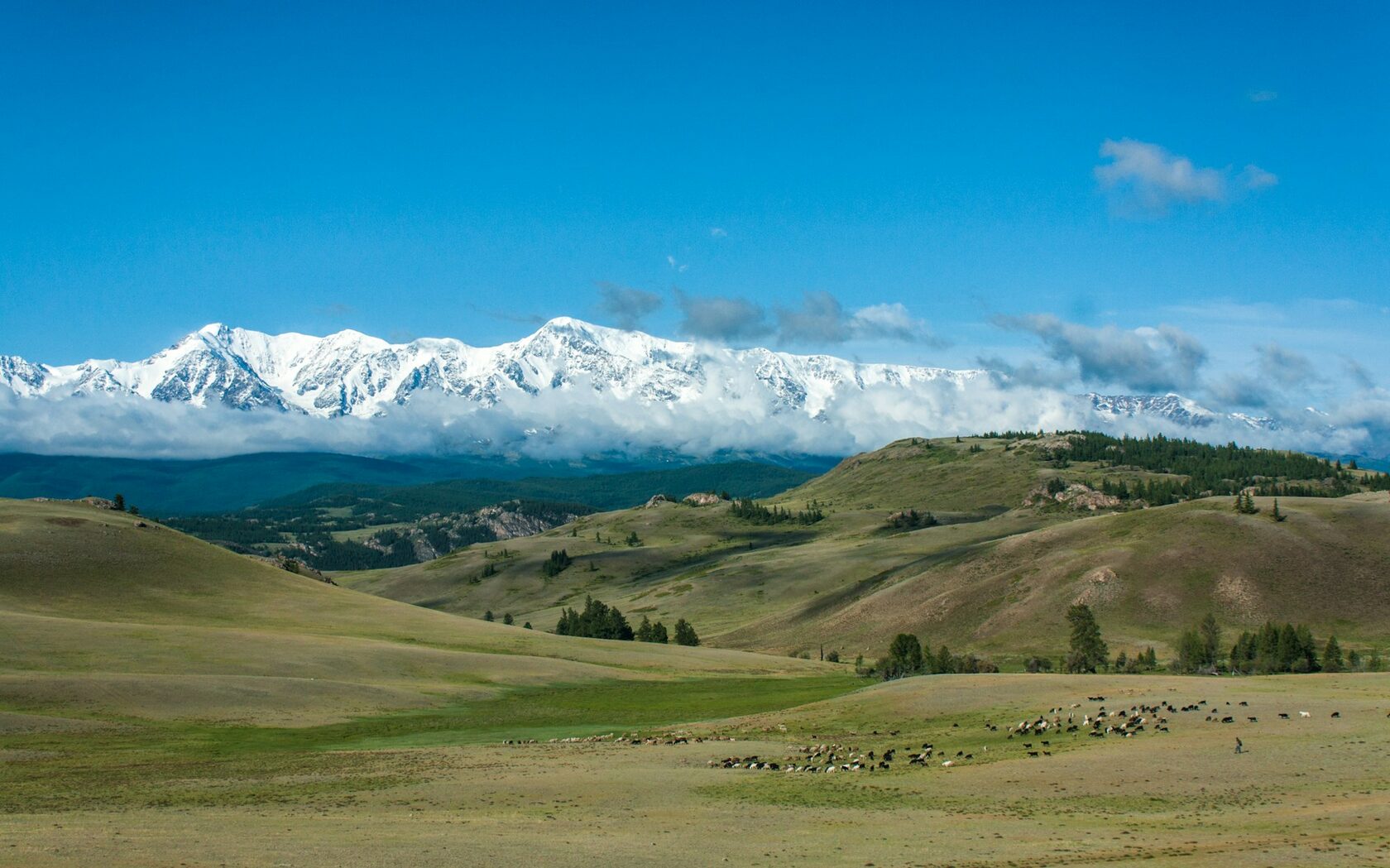 Altaï — entre montagnes sacrées et traditions vivantes