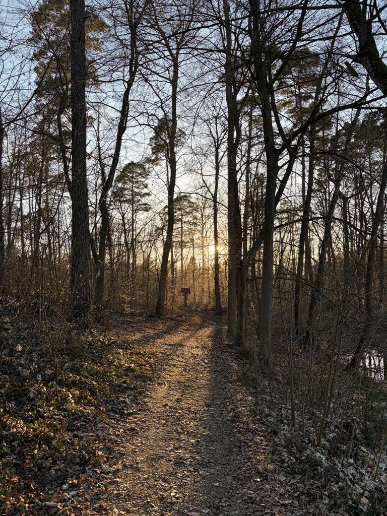 Brandenburg landscape