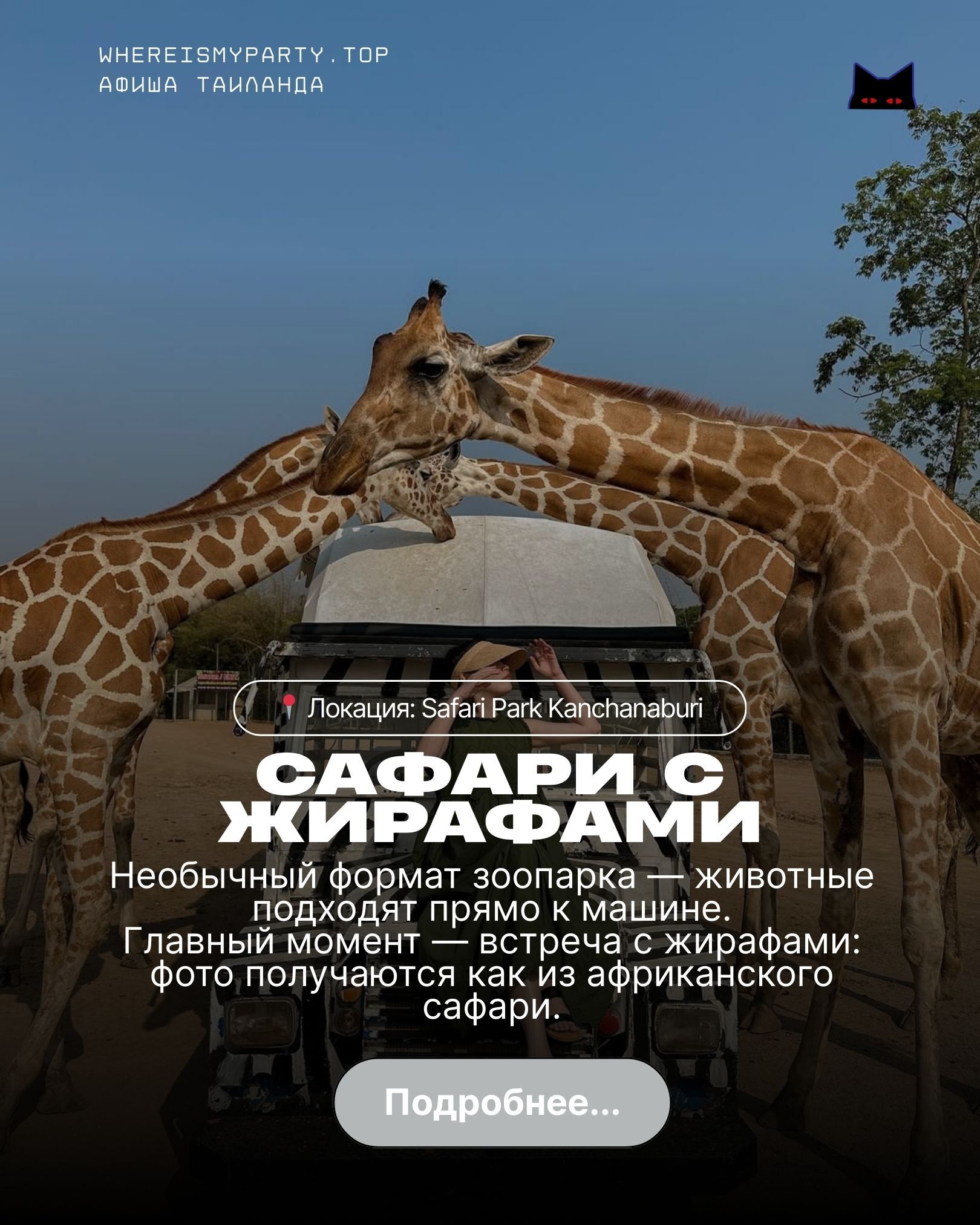 Обзор сафари с жирафами в Бангкоке