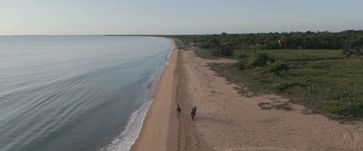 Riders on the empty east-coast shore near the Ranch, seen from the air, the coastline curving away to the north.
