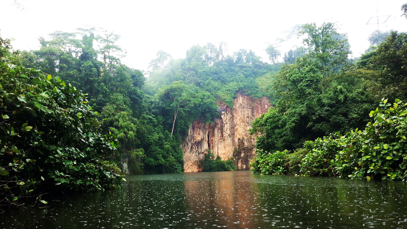 Bukit Timah Nature Reserve