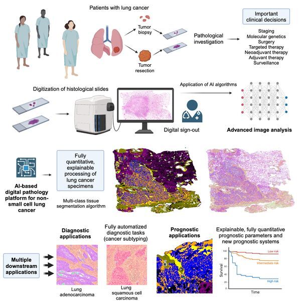 Computational Pathology @ University Hospital Cologne