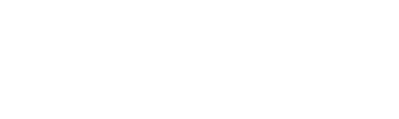 iRidi logo