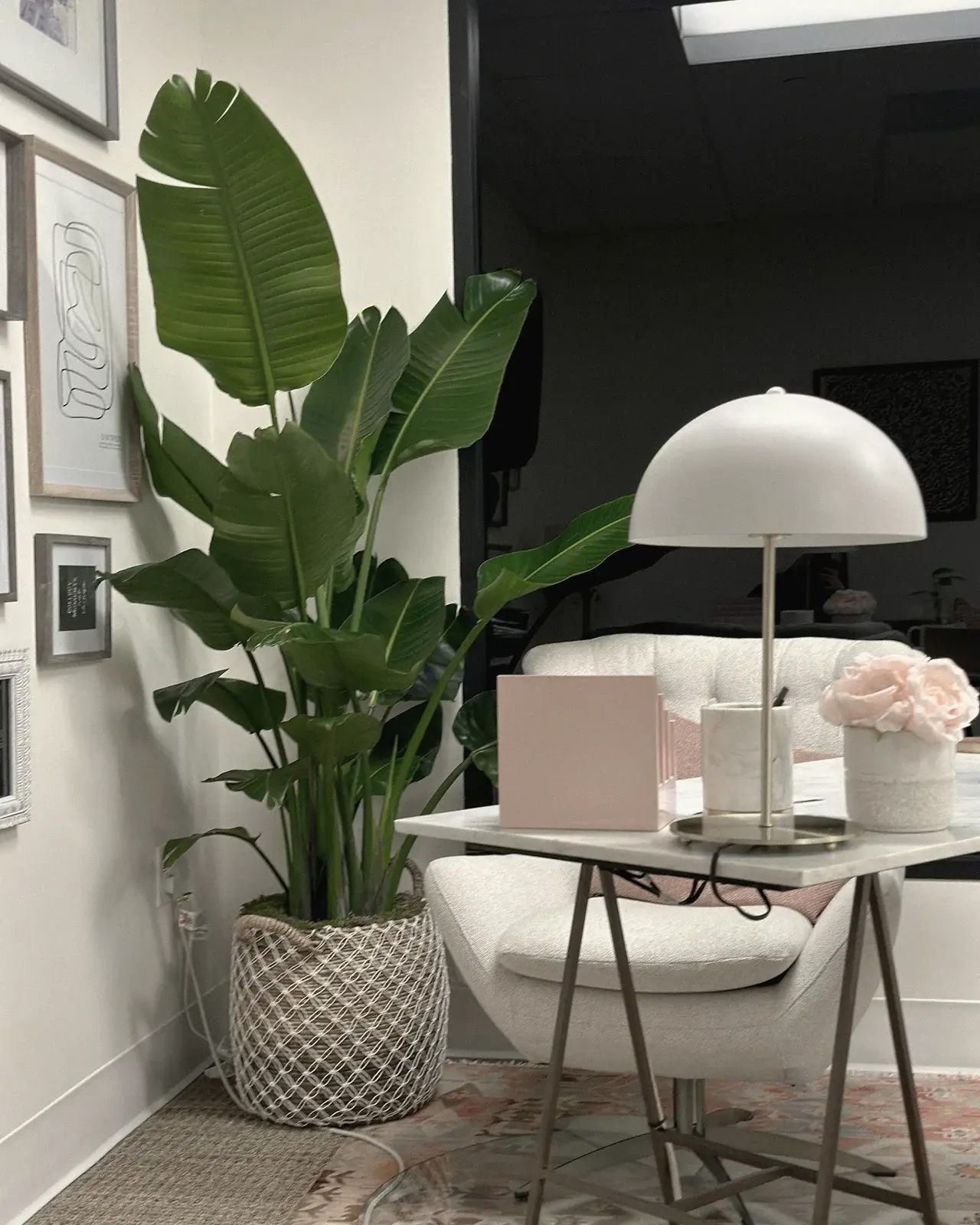 Consultation desk with a bird of paradise