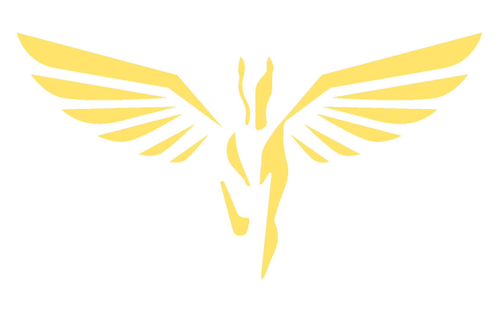 Company