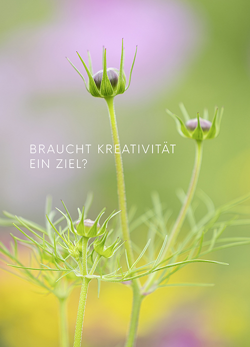 Q no A Postkarte mit zarter Blütenknospe in Rosa und Grün – Fotokunst mit Reflexionsfrage