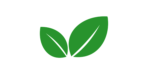  Tree protection 