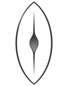 website icon